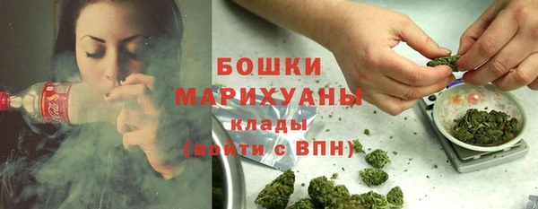 прущие крисы Верея