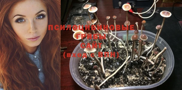 марки lsd Бугульма